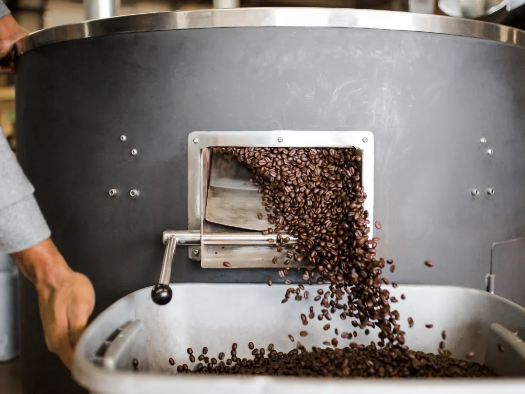 Image of coffee bean processing.